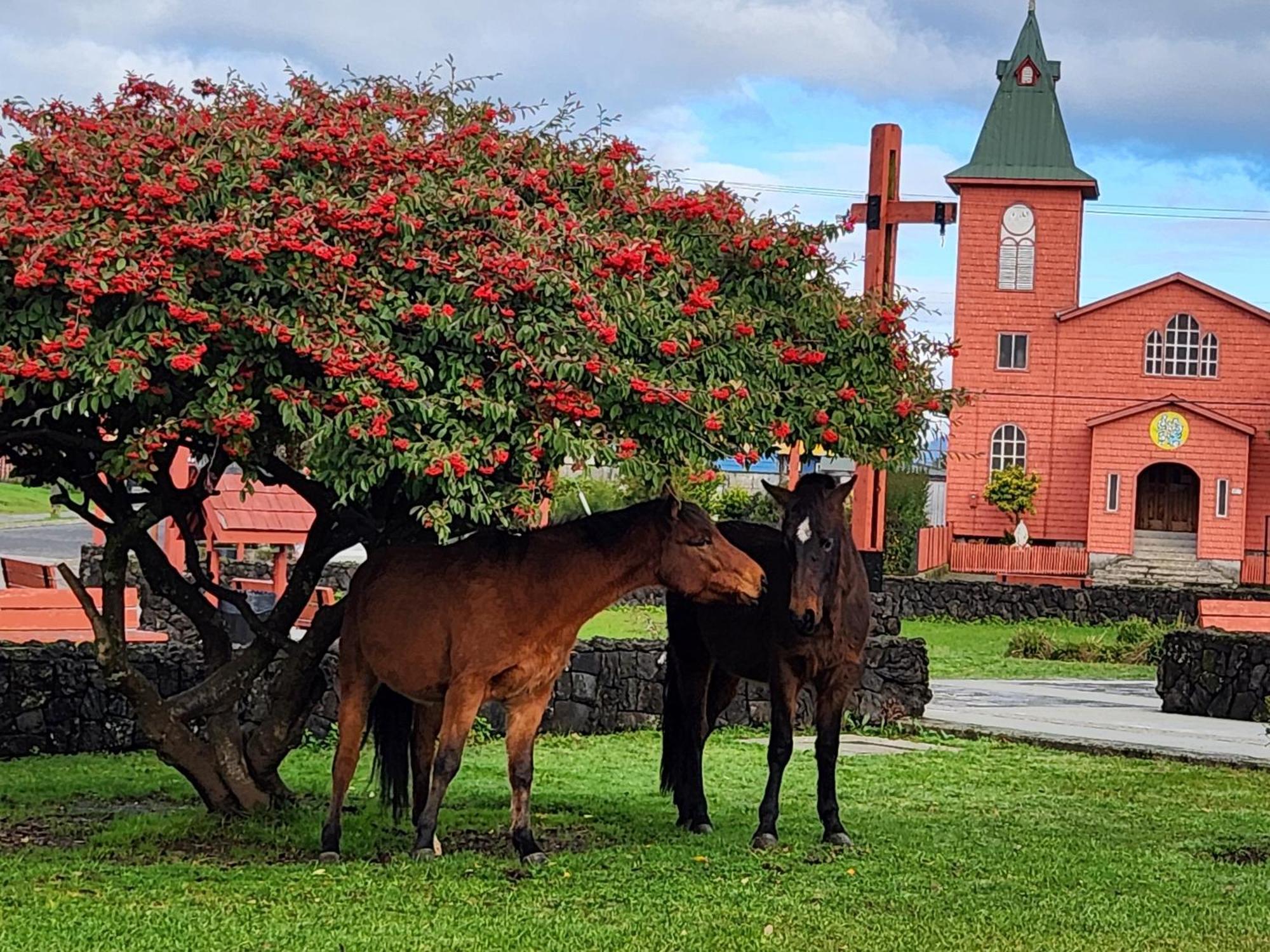 Cabanas Parque Chaqueihua Hornopiren Kültér fotó